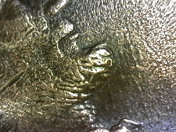 2-Different-1992-Pennies.-Is-One-A-Mint-Error?